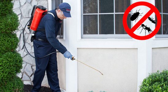 Çandarlı Hamam Böceği İlaçlama böcek ilaçlama ve haşere kontrolü — ilaclama-tr.com
